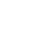 پاور بانک